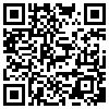 QR Code Handyversion