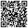 QR Code Handyversion