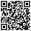 QR Code Handyversion