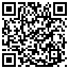 QR Code Handyversion