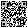 QR Code Handyversion