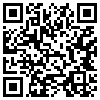 QR Code Handyversion