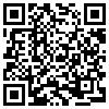 QR Code Handyversion