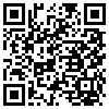 QR Code Handyversion