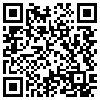 QR Code Handyversion