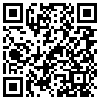 QR Code Handyversion