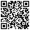 QR Code Handyversion