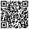 QR Code Handyversion