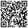 QR Code Handyversion