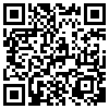 QR Code Handyversion