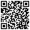 QR Code Handyversion