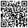 QR Code Handyversion