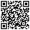 QR Code Handyversion