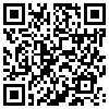 QR Code Handyversion