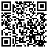 QR Code Handyversion