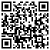 QR Code Handyversion