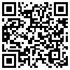 QR Code Handyversion