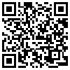 QR Code Handyversion