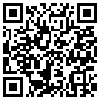 QR Code Handyversion