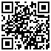 QR Code Handyversion