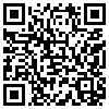 QR Code Handyversion