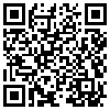 QR Code Handyversion