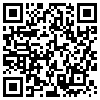 QR Code Handyversion