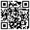 QR Code Handyversion