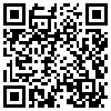 QR Code Handyversion