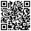 QR Code Handyversion