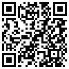 QR Code Handyversion