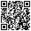 QR Code Handyversion