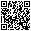 QR Code Handyversion