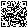 QR Code Handyversion