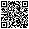 QR Code Handyversion