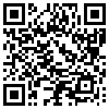 QR Code Handyversion