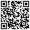 QR Code Handyversion