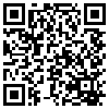 QR Code Handyversion