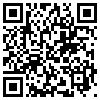 QR Code Handyversion