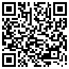 QR Code Handyversion