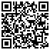 QR Code Handyversion