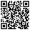 QR Code Handyversion