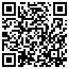 QR Code Handyversion