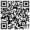 QR Code Handyversion