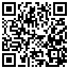 QR Code Handyversion