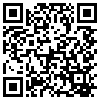 QR Code Handyversion