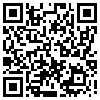 QR Code Handyversion