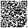 QR Code Handyversion