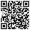 QR Code Handyversion