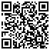 QR Code Handyversion